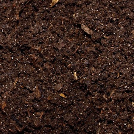 Starostlivosť o pôdu - kompost
