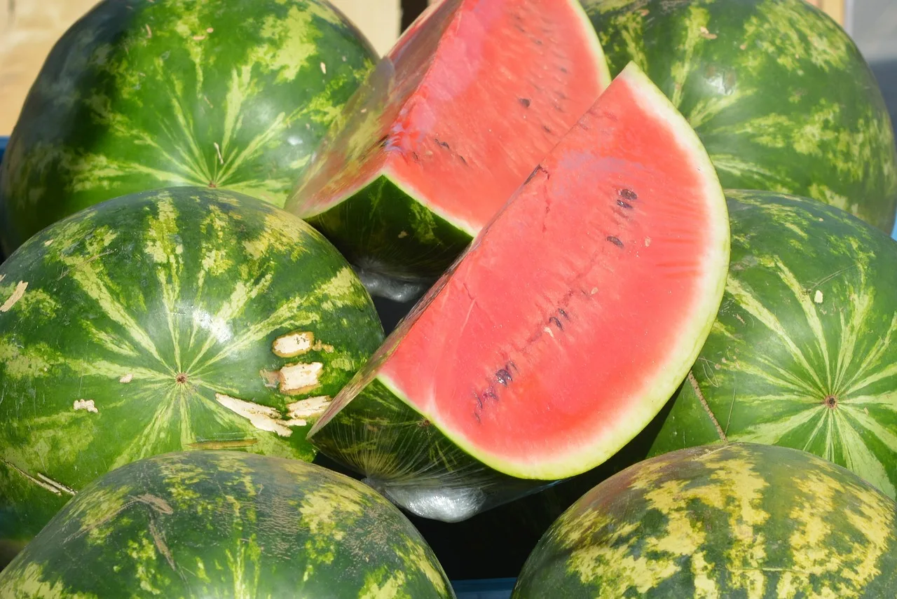 Ako pestovať a sadiť melóny